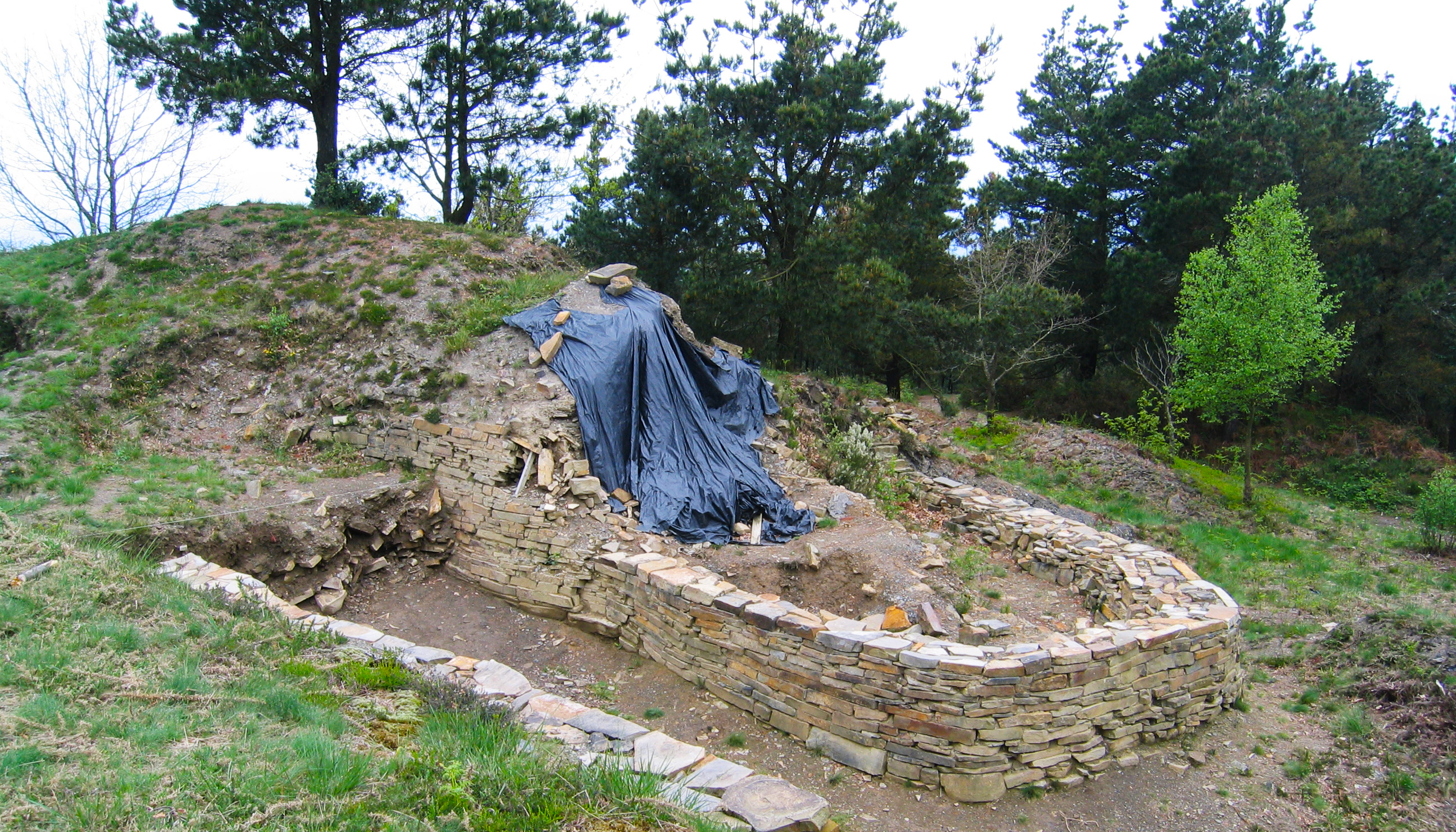 Oppidum